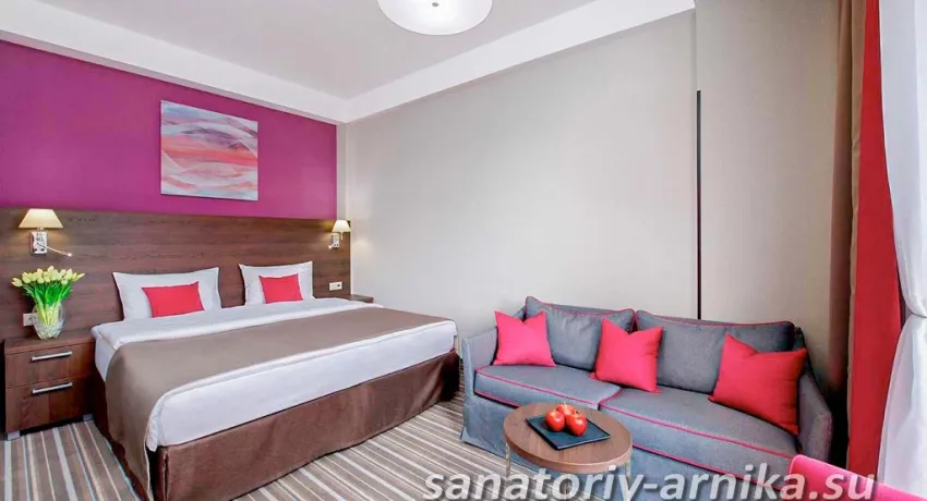 Санаторий Арника Кисловодск. Студия